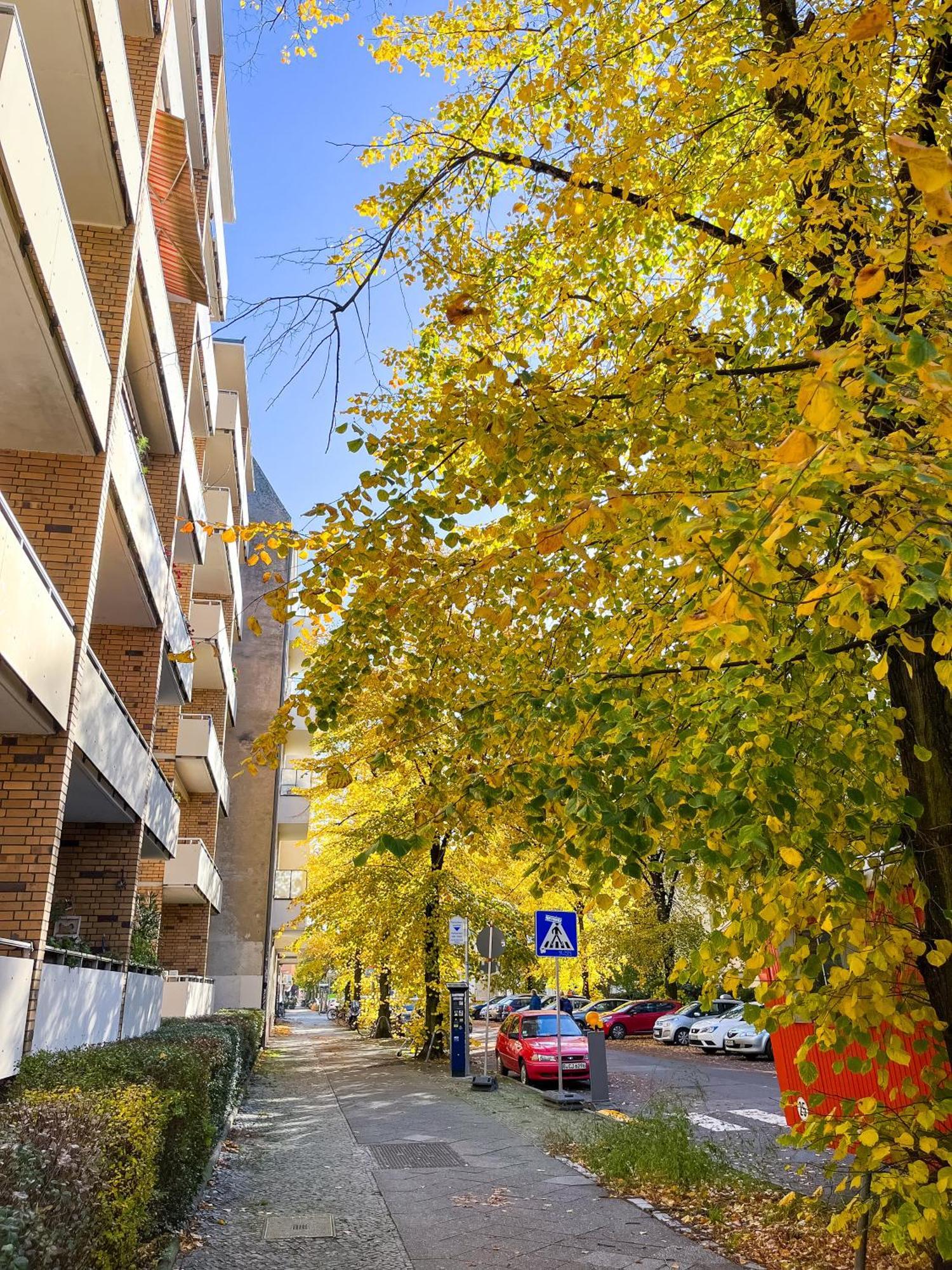 01 Bedroom In Mitte-Up To 5 People-Private Free Parking Berlin Eksteriør bilde